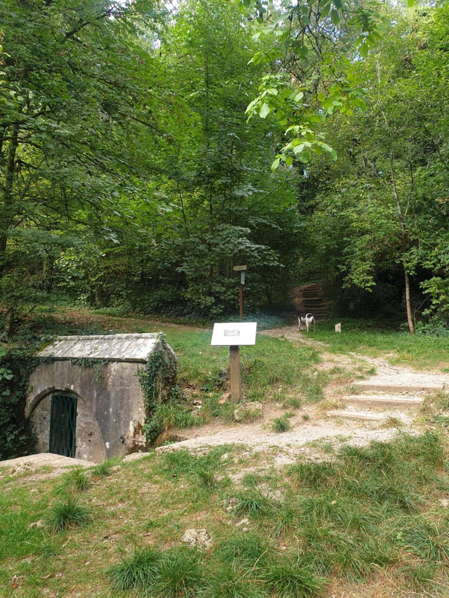 Chez Émile logement entier 2 chambres jardin privé Humes-Jorquenay Esterno foto